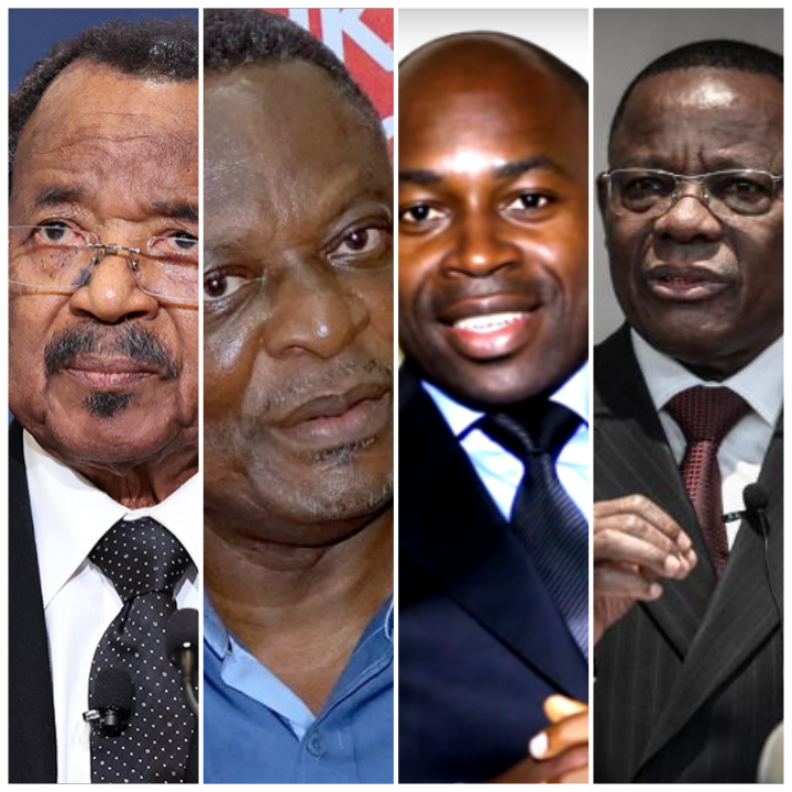 Ces leaders politiques rappellent aux parrains de cette pratique contre-nature qu’elle est interdite par le Code pénal camerounais. Quelques morceaux choisis.