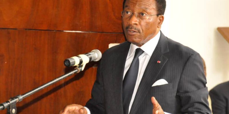 L'annonce a été faite par le ministre des Travaux publics, Emmanuel Nganou Djoumessi, lors de la récente conférence semestrielle des services centraux et déconcentrés du ministère des Travaux publics à Yaoundé.