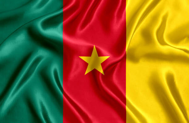 Dans une émission de sport, TV5 Monde a publié un drapeau de la république fictive d'Ambazonie, suscitant une vive polémique au Cameroun. Cet incident met  en lumière l'importance et la nécessité de protéger le drapeau national du Cameroun à tout prix.
