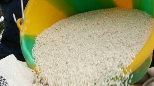 Selon un communiqué de presse du ministre camerounais du Commerce, le coût du riz importé connaît, à compter de ce vendredi 12 avril 2024 « une baisse significative ». Effet d’annonce ou réalité ?