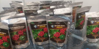 IGP : Ziama Macenta, les bienfaits de l’un des premiers cafés africains protégés et certifiés par l’OAPI