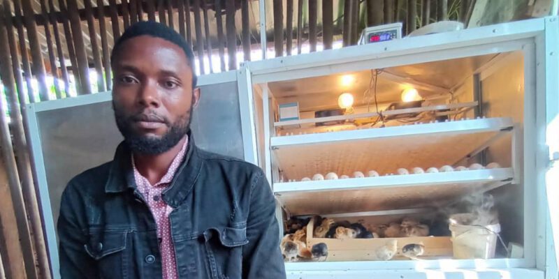 Dans la région de l’Ouest-Cameroun, plus précisément au lieu-dit « Batoukop » dans la commune d’arrondissement de Bafoussam 1er, Frédrickcène Kouagne gère une ferme avicole nommée « Edena’s Farm ». L’entreprise lancée il y a un an deux mois, est spécialisée dans l’élevage des poulets Goliath, une race de poulets qui se distinguent par leur taille (environ 60 cm), leur carrure et surtout leur résistance aux infections bactériennes.