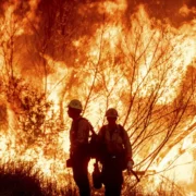 Les récents incendies en Californie, en Australie, au Brésil, en Grèce et en Turquie nous rappellent que les phénomènes climatiques extrêmes, tels que les incendies de grande ampleur, sont de plus en plus fréquents. En Australie (2019-2020), les incendies du "Black Summer" ont dévasté des millions d'hectares, tuant des centaines de millions d'animaux et détruisant des écosystèmes.