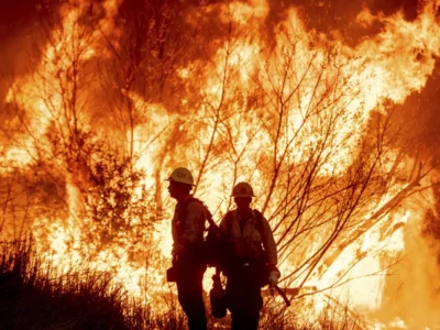 Les récents incendies en Californie, en Australie, au Brésil, en Grèce et en Turquie nous rappellent que les phénomènes climatiques extrêmes, tels que les incendies de grande ampleur, sont de plus en plus fréquents. En Australie (2019-2020), les incendies du "Black Summer" ont dévasté des millions d'hectares, tuant des centaines de millions d'animaux et détruisant des écosystèmes.